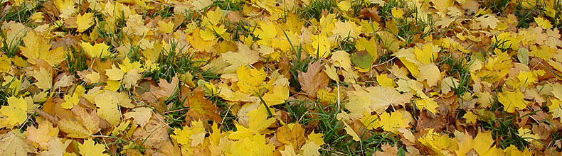 Herbstzauber Kubbelkow