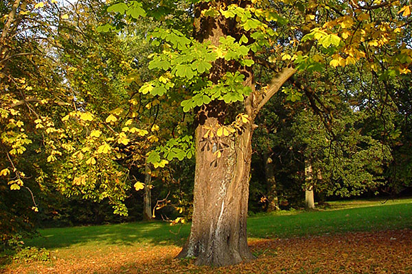 Herbstzeit fuer Geniesser