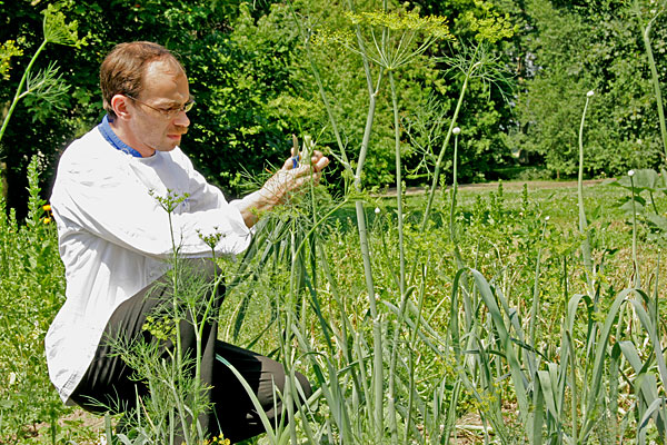 Kraeutergarten