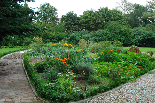 Barfussparkour
