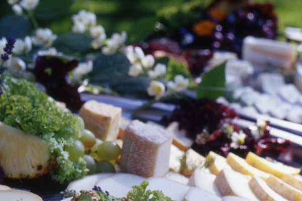 Catering Platten